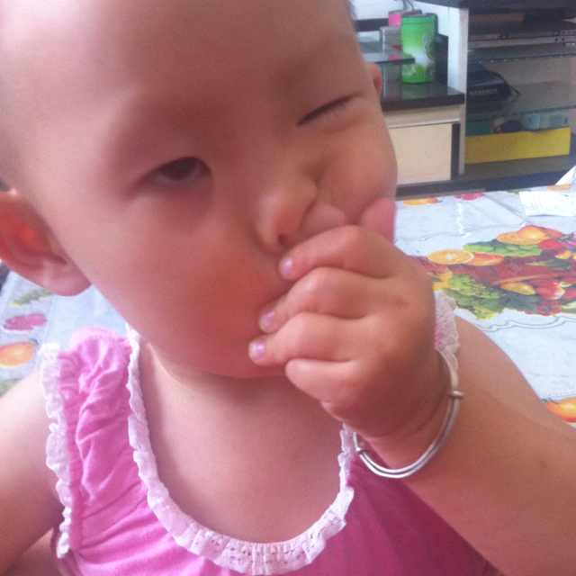 克莱拉与熊的秘密