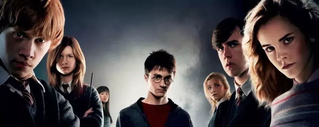 关于史蒂夫的一切