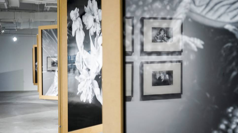 博格对战麦肯罗