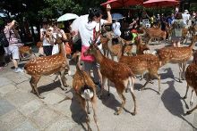 六月里来好阳光