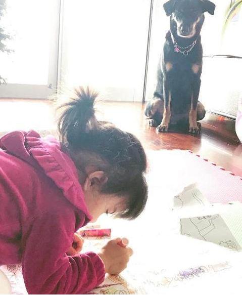 克隆特工之极限对决