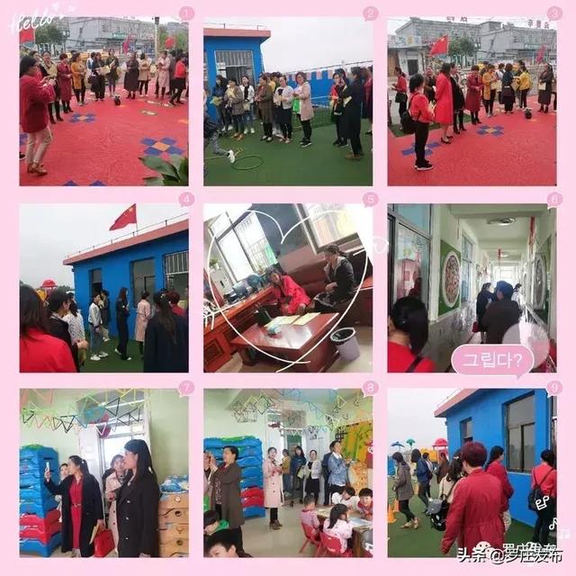 光荣之路上的狗