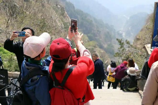 厨房之厨王争霸赛