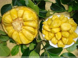 冲锋陷阵（国语版）