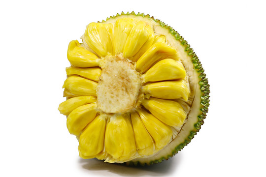 全息游戏：恋爱世界