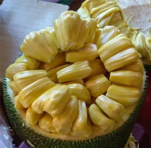 内蒙人民的胜利