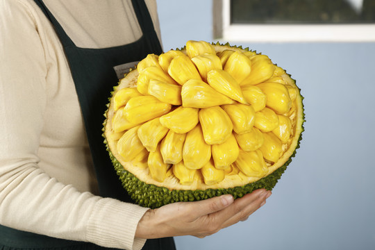 八万罪人 八萬罪人