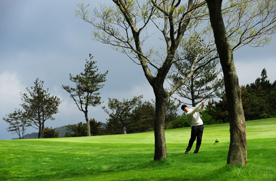 四个婚礼和一个葬礼