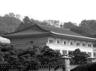 关于史蒂夫的一切